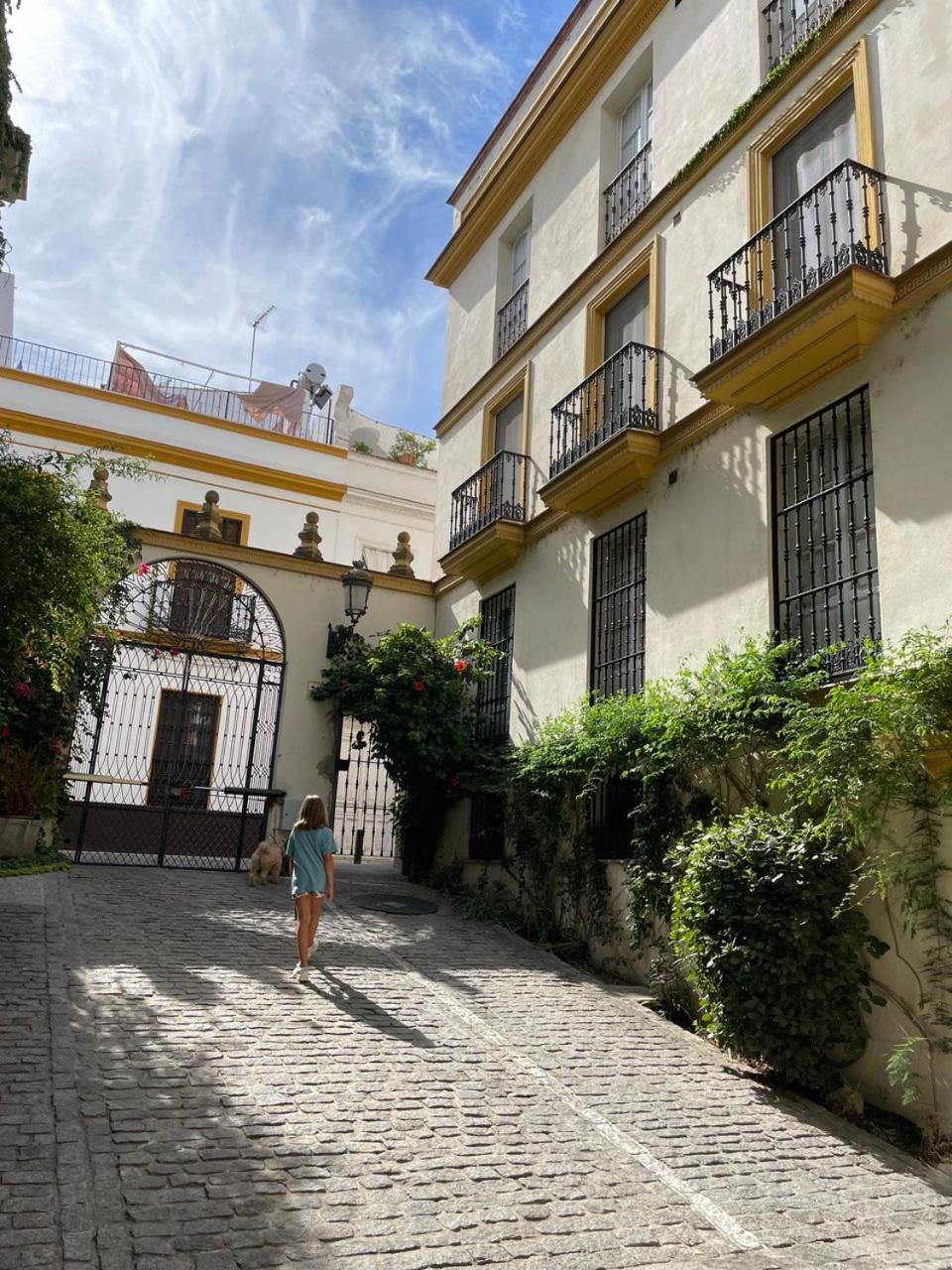 Sevilla Centro-Casco Antiguo -Vidrio 36 Exteriör bild